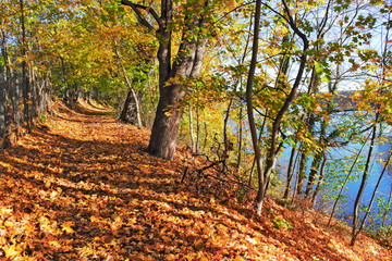 Uferweg im Herbst