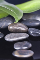 black pidras spa decoration