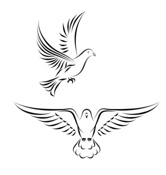 stylized dove in flight
