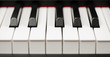 grand piano ebony and ivory keys