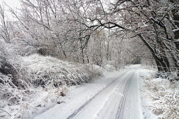 Fototapeta premium Winter road in snowy forest.