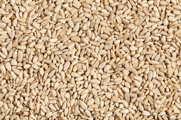 sunflower seeds
