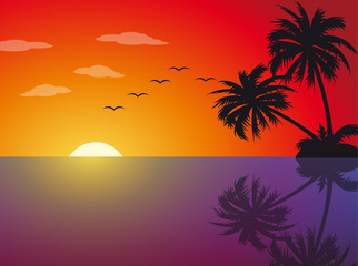 Fototapeta na wymiar Tropical sunset on the beach with palm trees