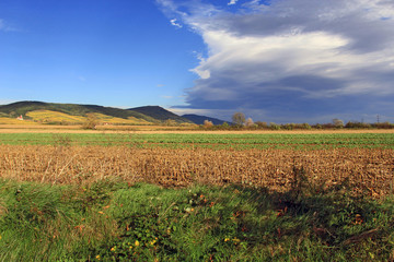 Fototapeta na wymiar paysage Alsace
