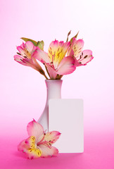 Pink alstroemeria in vase