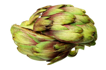 Obraz premium Artichoke