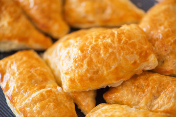 Patties stuffed with meat in the plate