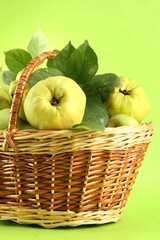 sweet quinces with leaves in basket, on green background