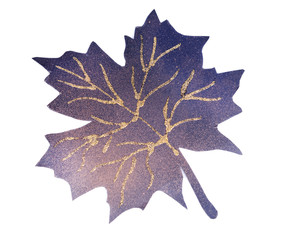 Fototapeta premium Black maple leaf isolated on white