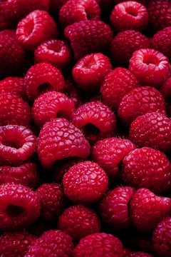 raspberry background