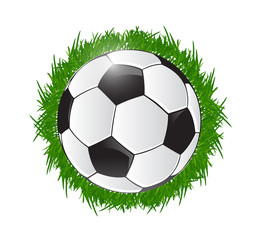 soccer ball and grass illustration design