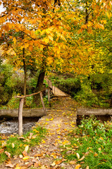 Autumn scene with a bridge and leaves