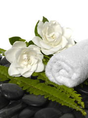 Fototapeta na wymiar Roller white towel gardenia flowers with green fern, on pebbles