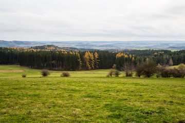 Fototapeta premium nature in the fall
