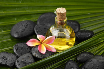 Fototapeta na wymiar frangipani and wet spa stones on palm leaf texture