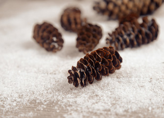 Pinecones