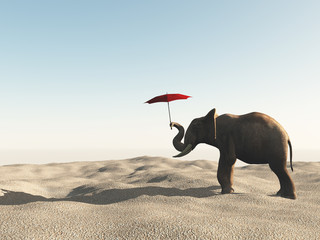 Naklejka premium Elephant in the desert with umbrella.