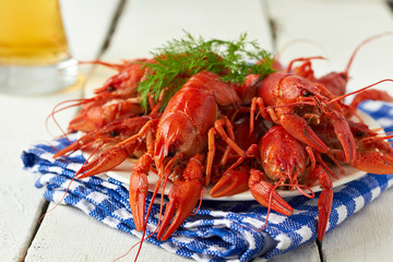 Boiled crayfish and beer