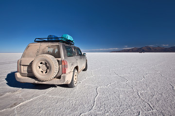 Bolivia - Salar Uyuni - 58594778