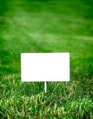 Notice Board on the Grass
