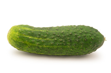 cucumber isolated on white