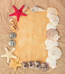 Fototapeta na wymiar Frame from paper, starfishes and cockleshells