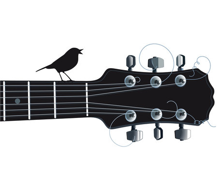 Gitarre mit singenden Vogel