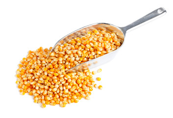 Corn kernels