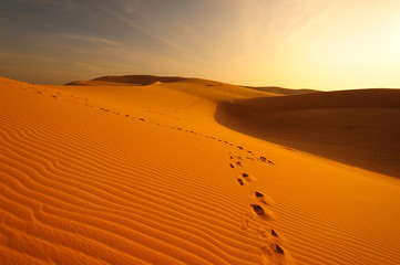 Fototapeta na wymiar Egzotyczne Kompletne Pustynny krajobraz w Sunrise