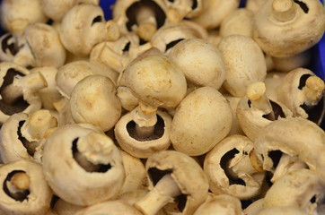 champignons