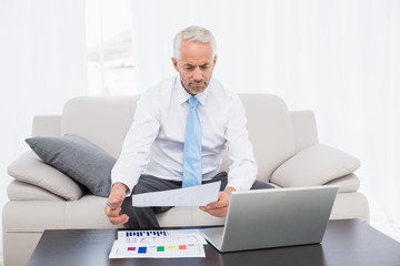Businessman working on graphs and laptop at home