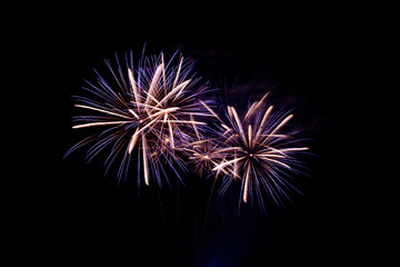 Colorful fireworks on the black sky background