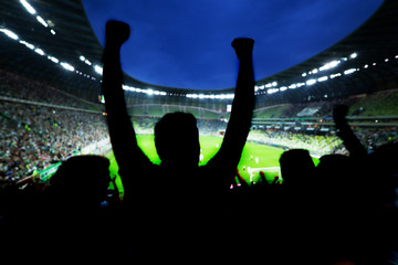Naklejka premium Football, soccer fans support their team and celebrate