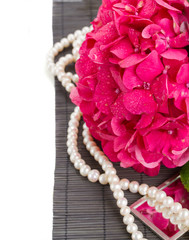 pink hortensia flowers and pearls close up