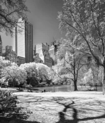 Papier Peint photo autocollant New York Central park, New York City. USA.