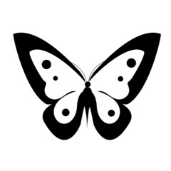 butterflies design