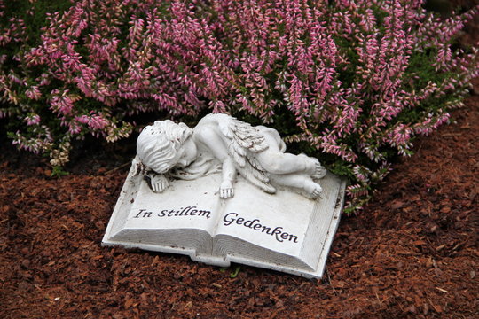 Friedhof - Auf Buch ruhender Engel neben Heidekraut