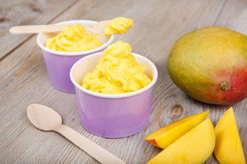 Frozen creamy ice yoghurt  with fresh mango