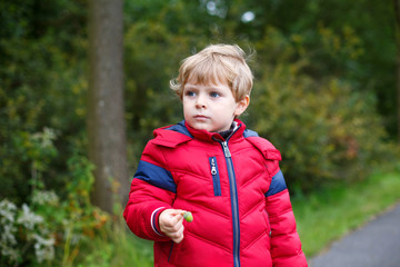 Beautiful toddler boy in red clothes