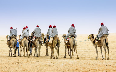Camel Caravan in the Sahara desert, Tunisia, Africa