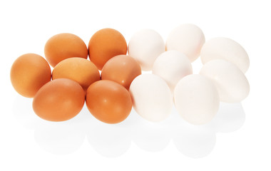 The white and brown eggs