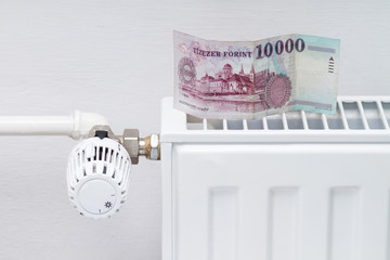 heating thermostat with money,expensive heating costs concept