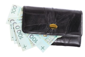 Economy and finance. Purse with polish banknote isolated