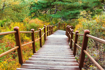 Fototapeta premium Wooden hiking path to the mountain