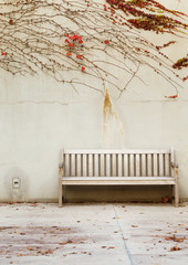 Relaxation with bench in garden
