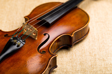 Violin