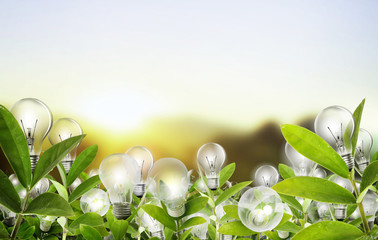 light bulb Alternative energy concept