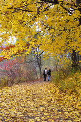 park with fall colors