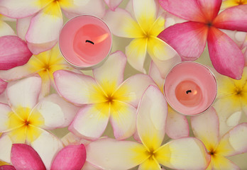 Many frangipani with two  candle in the water