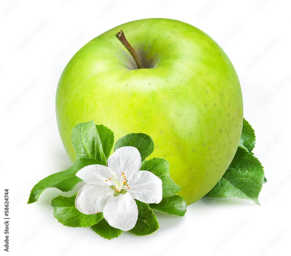 Wall mural Green apple Isolated on a white background